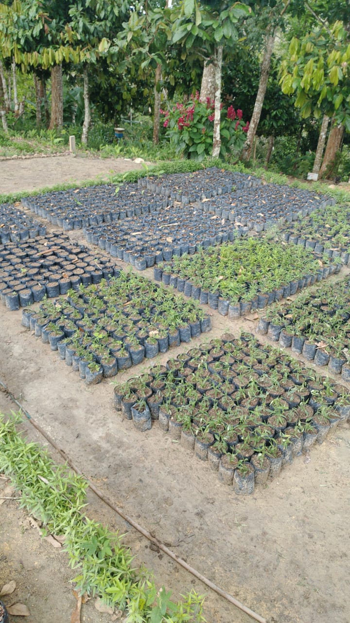 WhatsApp Image 2025-07-24 at 20.45.30.jpeg