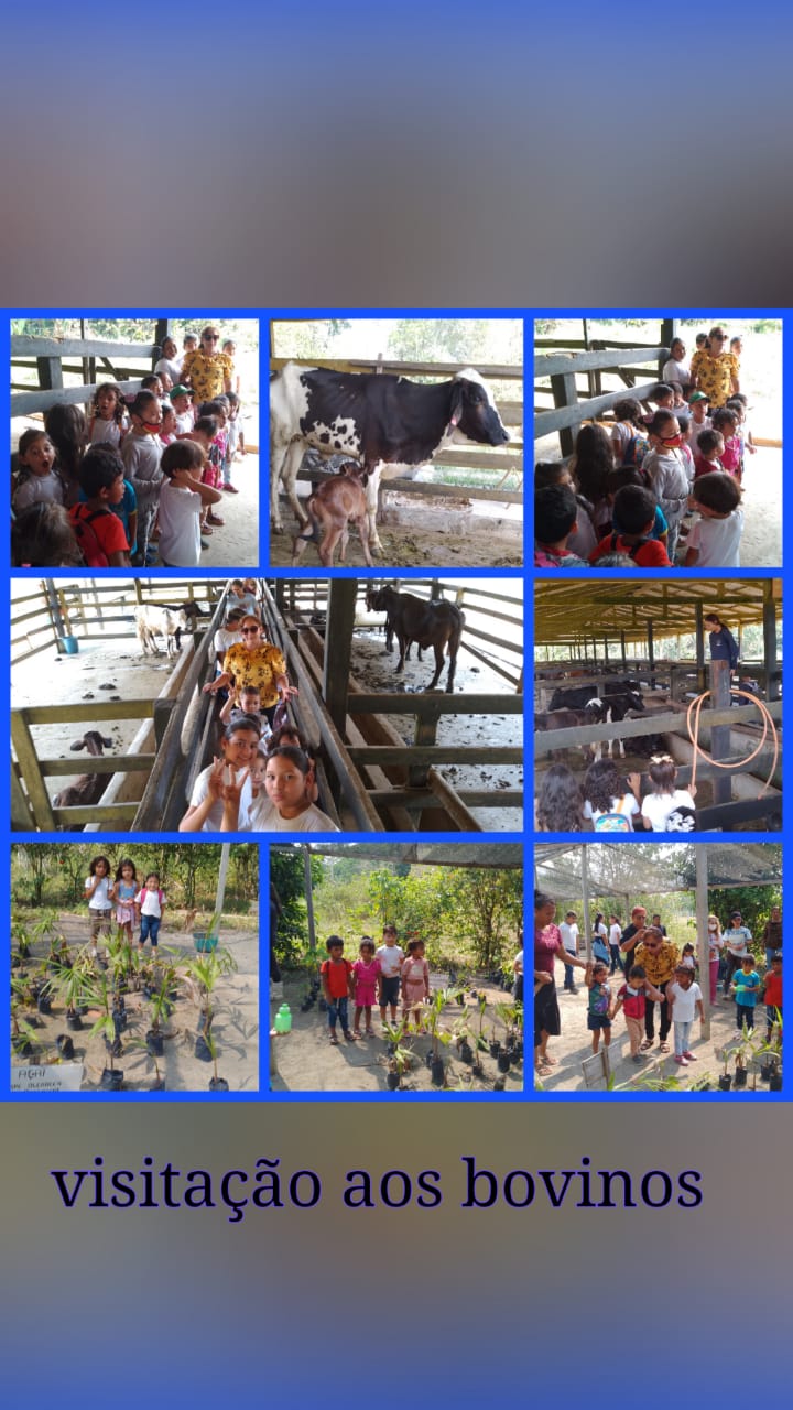 WhatsApp Image 2025-07-24 at 20.45.29 (1).jpeg